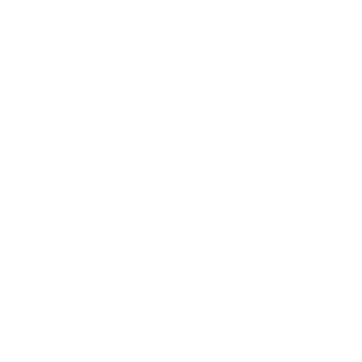 Icône Loupe